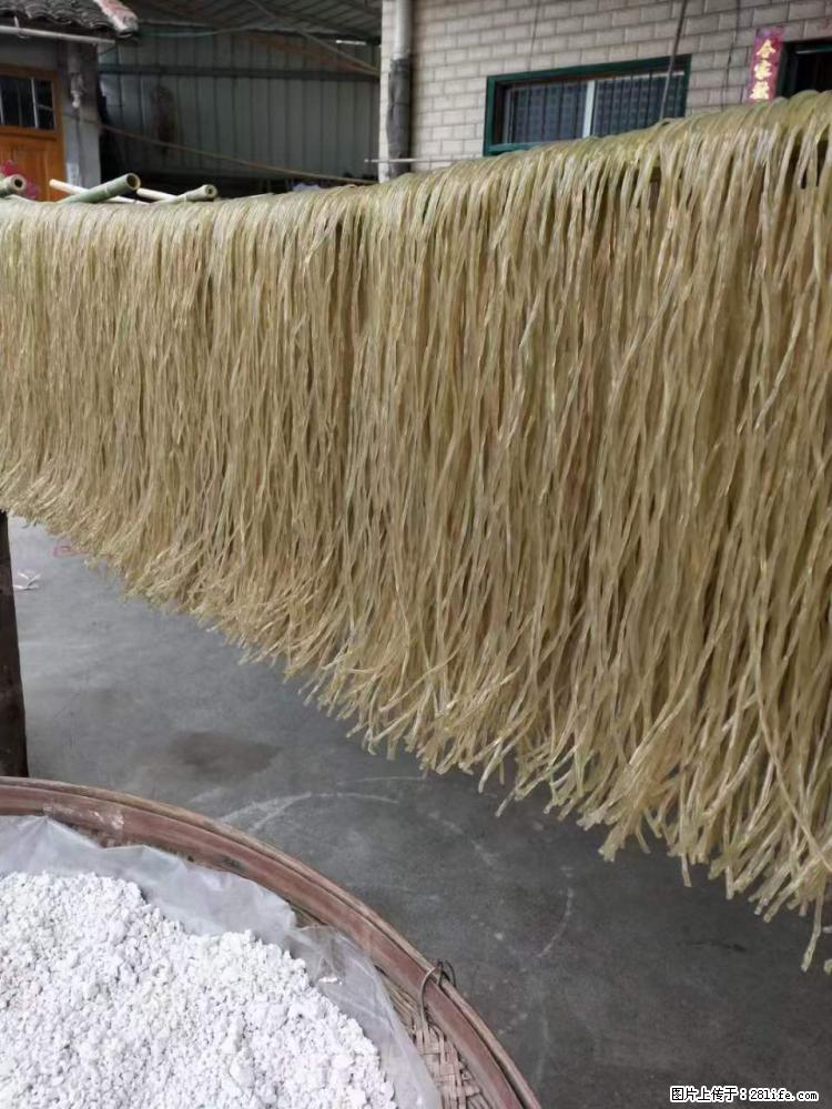 【灌阳正宗红薯粉】美女家里自己做的，干净卫生，假一赔十，价格合理，抢购电话：13737312895 - 美食天地 - 成都生活社区 - 成都28生活网 cd.28life.net