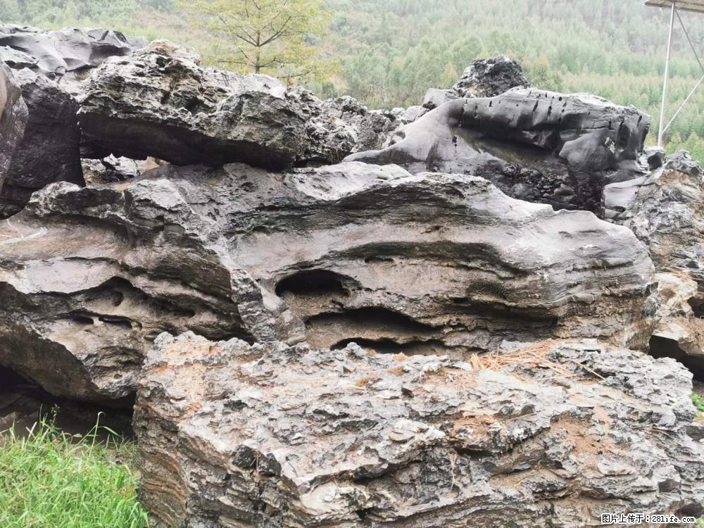 风景石、假山石大量有货，有需要的欢迎联系 - 新手上路 - 成都生活社区 - 成都28生活网 cd.28life.net