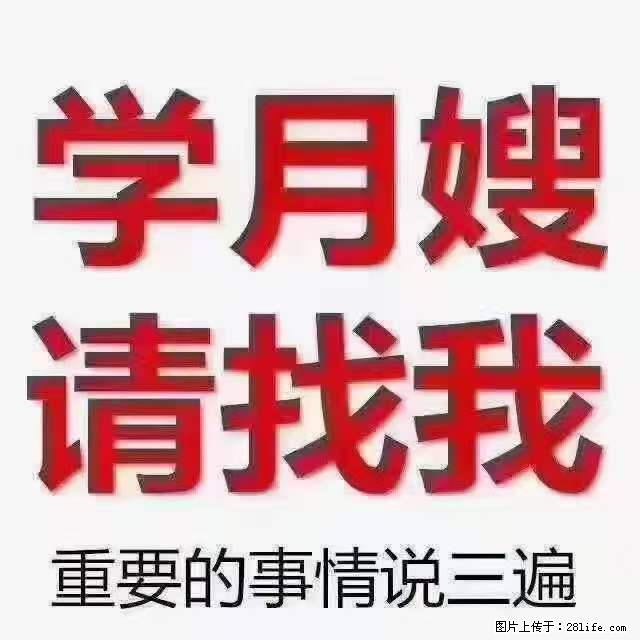 为什么要学习月嫂，育婴师？ - 新手上路 - 成都生活社区 - 成都28生活网 cd.28life.net