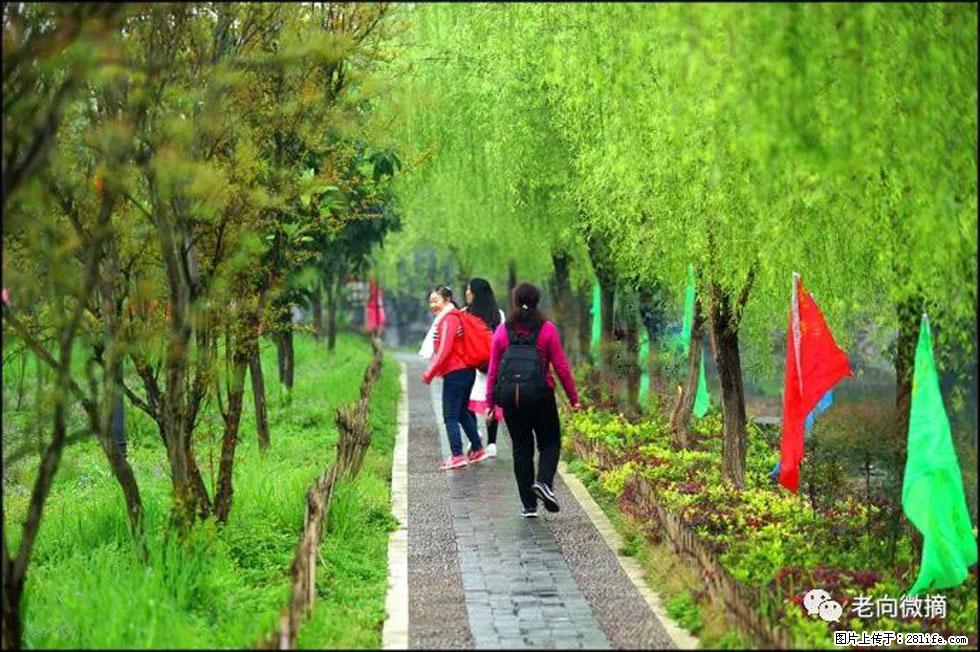 【春天，广西桂林灌阳县向您发出邀请！】江口老街又逢春 - 游山玩水 - 成都生活社区 - 成都28生活网 cd.28life.net