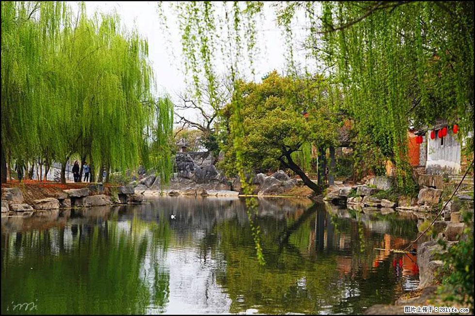 【春天，广西桂林灌阳县向您发出邀请！】江口老街又逢春 - 游山玩水 - 成都生活社区 - 成都28生活网 cd.28life.net