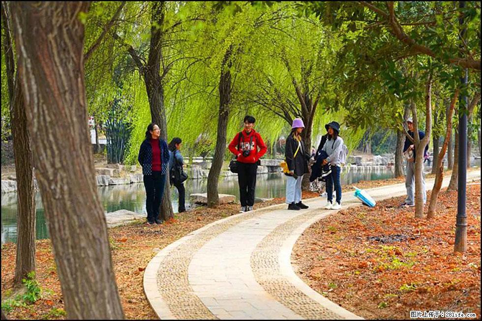 【春天，广西桂林灌阳县向您发出邀请！】江口老街又逢春 - 游山玩水 - 成都生活社区 - 成都28生活网 cd.28life.net