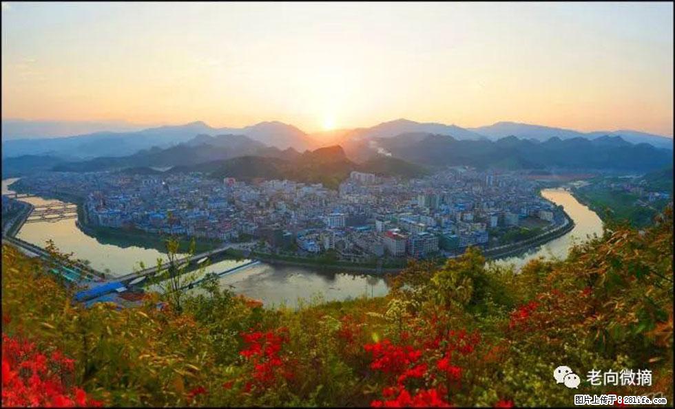 【春天，广西桂林灌阳县向您发出邀请！】登麒麟山，相约映山红 - 游山玩水 - 成都生活社区 - 成都28生活网 cd.28life.net