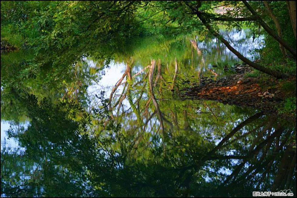 【春天,广西桂林灌阳县向您发出邀请!】熊家寨湿地公园 - 游山玩水 - 成都生活社区 - 成都28生活网 cd.28life.net