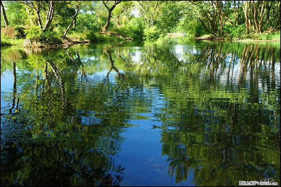 【春天,广西桂林灌阳县向您发出邀请!】熊家寨湿地公园 - 游山玩水 - 成都生活社区 - 成都28生活网 cd.28life.net