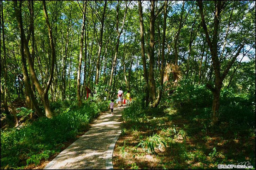 【春天,广西桂林灌阳县向您发出邀请!】熊家寨湿地公园 - 游山玩水 - 成都生活社区 - 成都28生活网 cd.28life.net