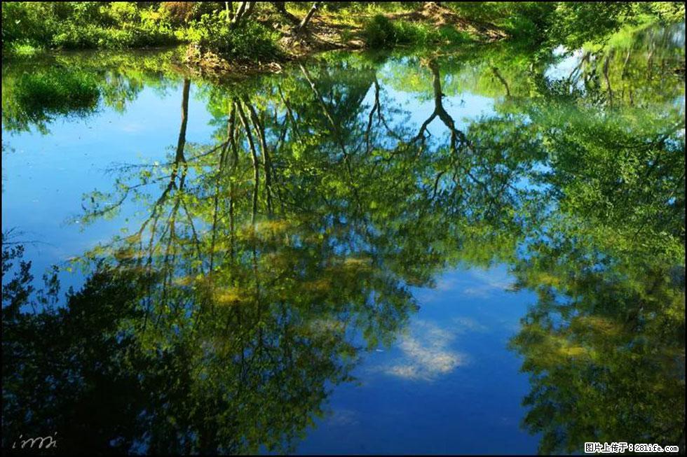 【春天,广西桂林灌阳县向您发出邀请!】熊家寨湿地公园 - 游山玩水 - 成都生活社区 - 成都28生活网 cd.28life.net