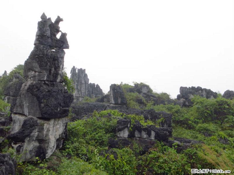 桂林旅游名城景点:灌阳文市石林 - 游山玩水 - 成都生活社区 - 成都28生活网 cd.28life.net
