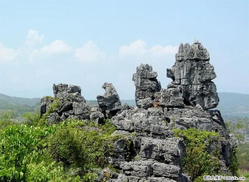 桂林旅游名城景点:灌阳文市石林 - 游山玩水 - 成都生活社区 - 成都28生活网 cd.28life.net