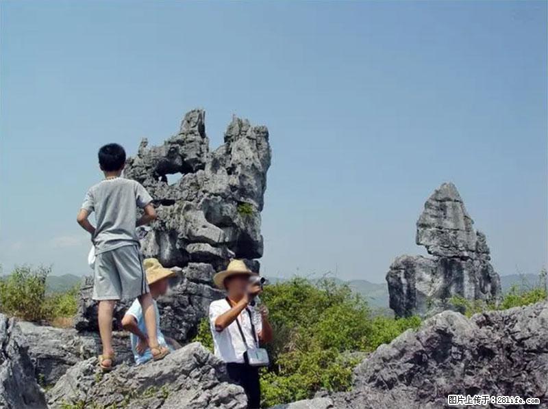 桂林旅游名城景点:灌阳文市石林 - 游山玩水 - 成都生活社区 - 成都28生活网 cd.28life.net