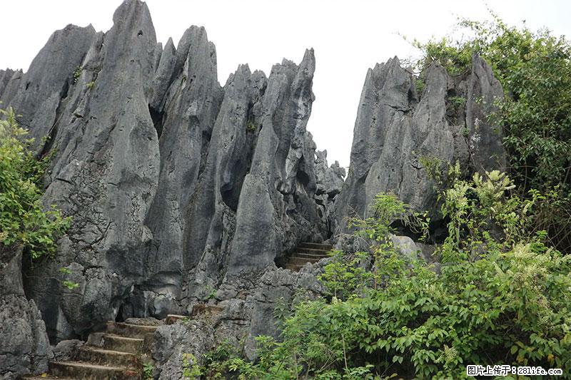 桂林旅游名城景点:灌阳文市石林 - 游山玩水 - 成都生活社区 - 成都28生活网 cd.28life.net