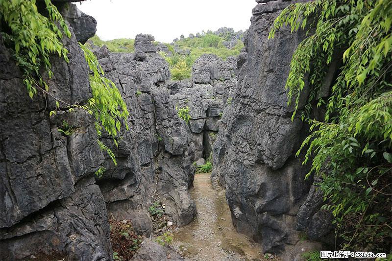 桂林旅游名城景点:灌阳文市石林 - 游山玩水 - 成都生活社区 - 成都28生活网 cd.28life.net