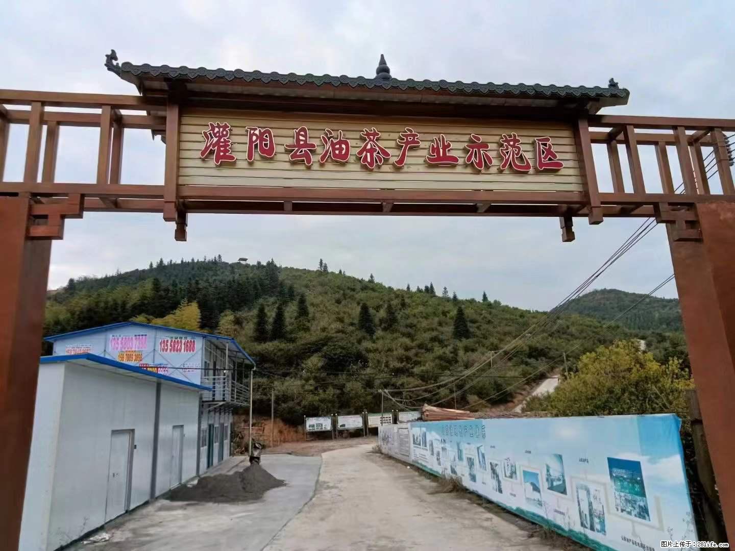 【灌阳县油茶产业示范区】一个有着充实的精神生活的人，对待身外之物自会有一种淡泊的态度 - 美食天地 - 成都生活社区 - 成都28生活网 cd.28life.net