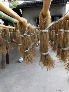 【灌阳正宗红薯粉】美女家里自己做的，干净卫生，假一赔十，价格合理，抢购电话：13737312895 - 成都28生活网 cd.28life.net