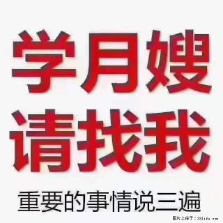 为什么要学习月嫂，育婴师？ - 成都28生活网 cd.28life.net