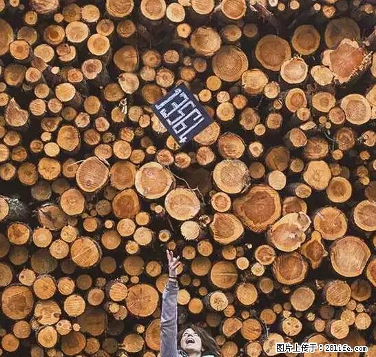 辞掉工作周游世界？现在他们在洗厕所…… - 游山玩水 - 成都生活社区 - 成都28生活网 cd.28life.net