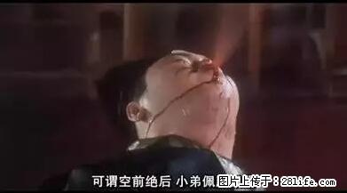 笑癫了!一女的怀孕三年未生,他终于忍不住了... - 娱乐八卦 - 成都生活社区 - 成都28生活网 cd.28life.net