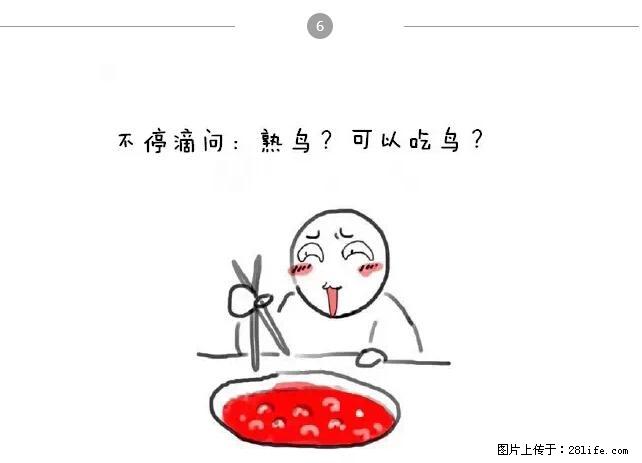 千万不要和这9种哈卵一起吃火锅！ - 美食天地 - 成都生活社区 - 成都28生活网 cd.28life.net