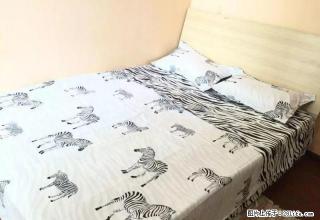 (单间出租)一环路北二段100号主卧出租750元 - 成都28生活网 cd.28life.net