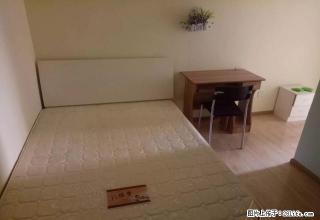 (单间出租)天府五街 软件园G区 精装单间 价格实惠 拎包入住 - 成都28生活网 cd.28life.net