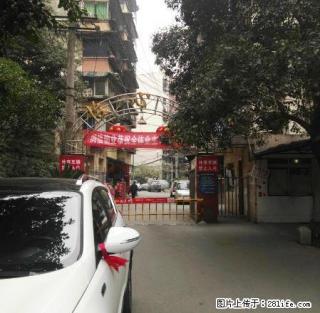 12环间地铁牛王庙家乐福附近怡心苑2室2厅1卫1800,精装 - 成都28生活网 cd.28life.net