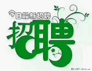 【招聘摄像师】待遇：试用期6000元/月，转正7000元/月+五险一金+餐补+节日福利+奖金 - 成都28生活网 cd.28life.net