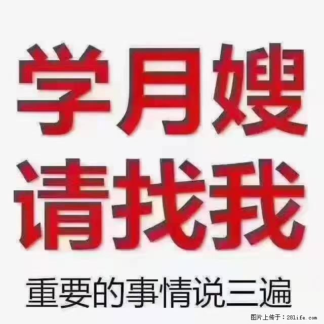 【招聘】月嫂，上海徐汇区 - 职场交流 - 成都生活社区 - 成都28生活网 cd.28life.net