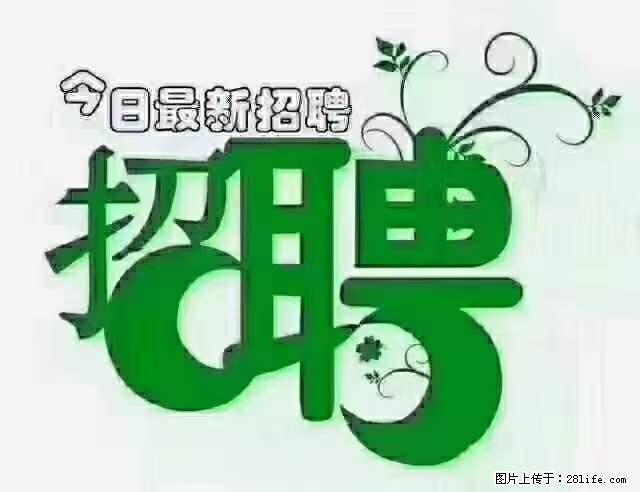 上海隔离酒店招人：55岁以下 男女不限 - 职场交流 - 成都生活社区 - 成都28生活网 cd.28life.net