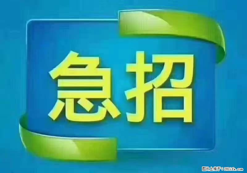 招财务，有会计证的，熟手会计1.1万底薪，上海五险一金，包住，包工作餐，做六休一 - 职场交流 - 成都生活社区 - 成都28生活网 cd.28life.net