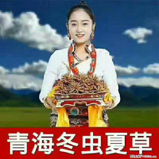 温江回收虫草上门，郫县虫草回收现结 - 成都28生活网 cd.28life.net