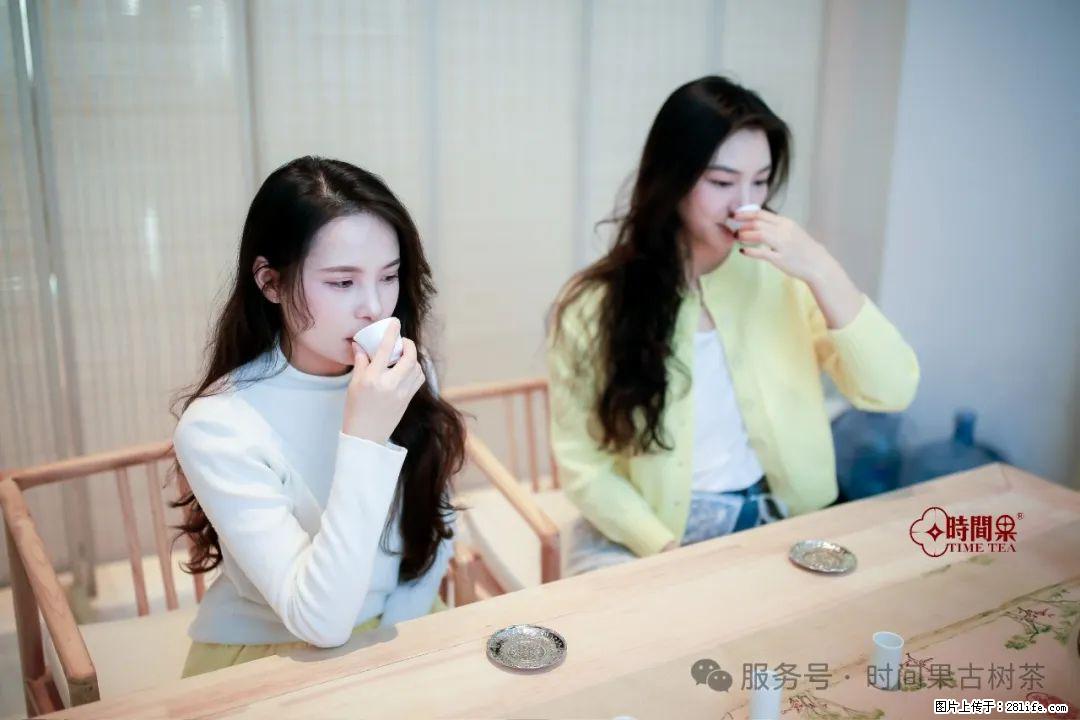 时间果百年古树龙珠普洱生茶 - 购物交流 - 成都生活社区 - 成都28生活网 cd.28life.net