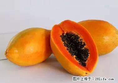 晕车、脚气、牙齿变黄、皮肤粗糙？学会这些三分钟搞定！ - 成都生活资讯 - 成都28生活网 cd.28life.net