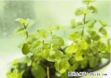 晕车、脚气、牙齿变黄、皮肤粗糙？学会这些三分钟搞定！ - 成都生活资讯 - 成都28生活网 cd.28life.net
