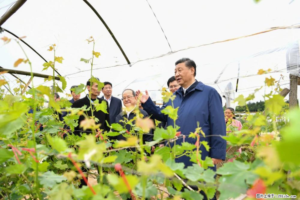 习近平赴广西考察调研 - 成都生活资讯 - 成都28生活网 cd.28life.net