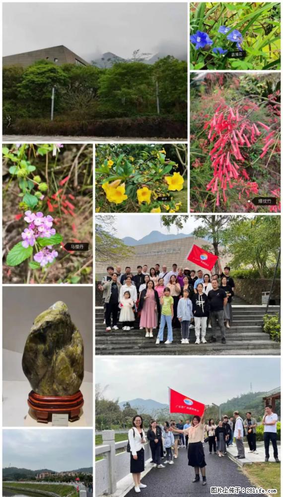 “粤灌文化 美好生活”油茶文化主题活动在广东深圳成功举办 - 成都生活资讯 - 成都28生活网 cd.28life.net