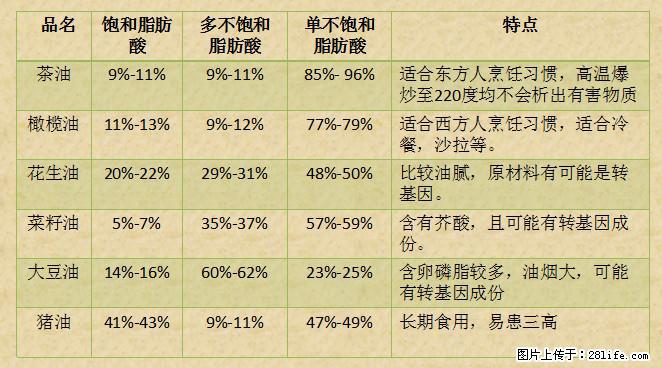 揭秘茶油的5大核心营养成分！被称为人体健康的“守护盾”！ - 成都生活资讯 - 成都28生活网 cd.28life.net