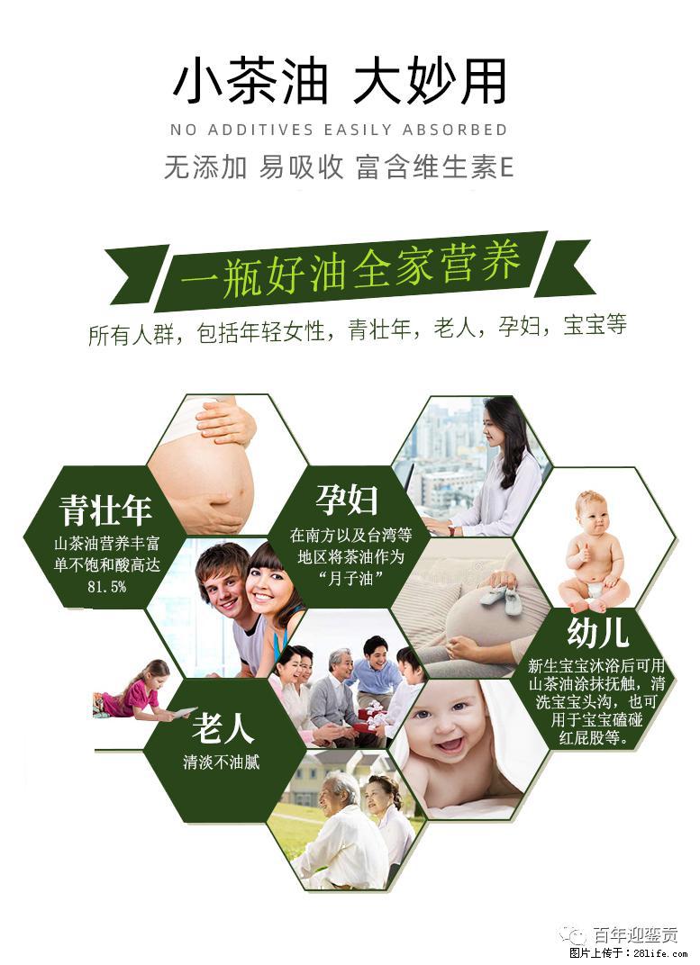 世界没有真相，只有认知，最好的食用油是中国的山茶油！ - 成都生活资讯 - 成都28生活网 cd.28life.net