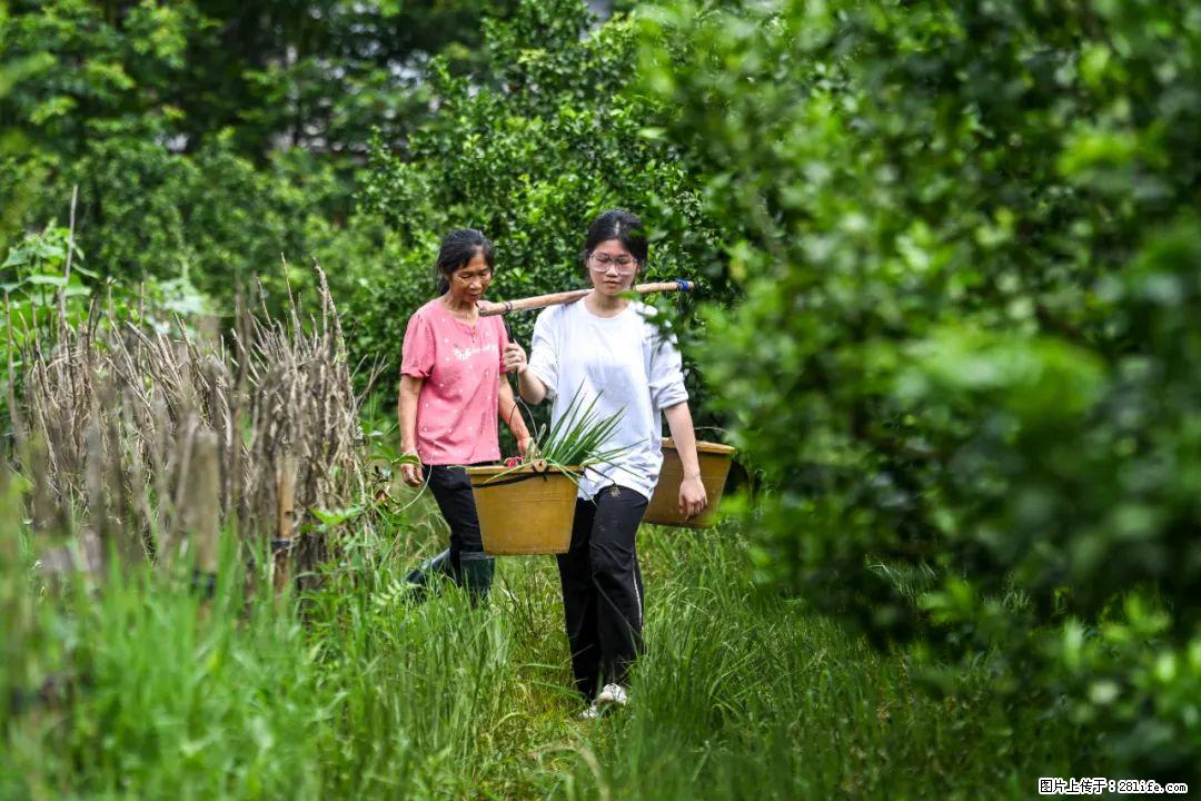 全网追的“扁担女孩”，找了一份暑假工，时薪12元 - 成都生活资讯 - 成都28生活网 cd.28life.net