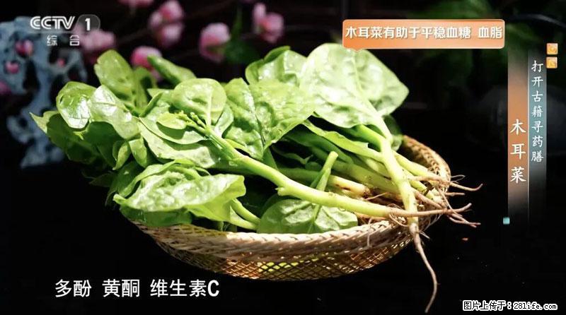 比牛奶补钙还厉害！凉血解毒、稳血糖...这菜冬天必吃，很多人却当草 - 成都生活资讯 - 成都28生活网 cd.28life.net