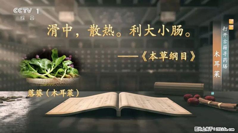 比牛奶补钙还厉害！凉血解毒、稳血糖...这菜冬天必吃，很多人却当草 - 成都生活资讯 - 成都28生活网 cd.28life.net