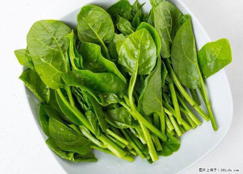 这些蔬菜是“天然钙片”，这6种被医生重点推荐 - 成都生活资讯 - 成都28生活网 cd.28life.net