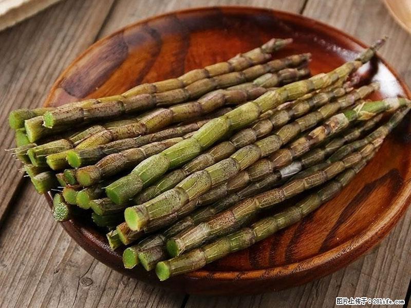铁皮石斛的作用与功能主治 - 成都生活资讯 - 成都28生活网 cd.28life.net
