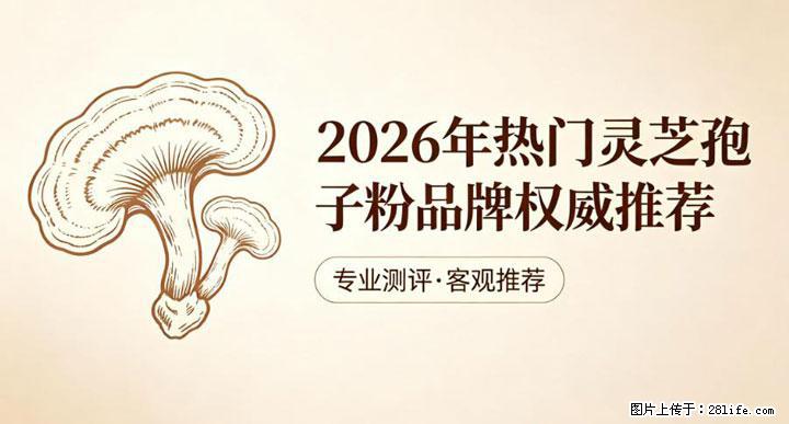 灵芝孢子粉含量越高越有效？2026 年七款热门品牌深度实测，肠胃敏感者避坑指南 - 成都生活资讯 - 成都28生活网 cd.28life.net